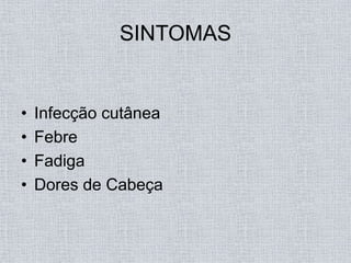 SINTOMAS


•   Infecção cutânea
•   Febre
•   Fadiga
•   Dores de Cabeça
 
