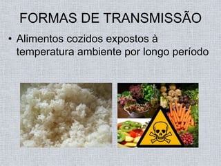 FORMAS DE TRANSMISSÃO
• Alimentos cozidos expostos à
  temperatura ambiente por longo período
 