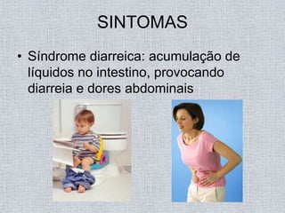 SINTOMAS
• Síndrome diarreica: acumulação de
  líquidos no intestino, provocando
  diarreia e dores abdominais
 