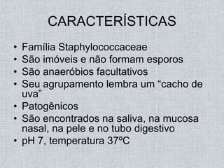 CARACTERÍSTICAS
• Família Staphylococcaceae
• São imóveis e não formam esporos
• São anaeróbios facultativos
• Seu agrupamento lembra um “cacho de
  uva”
• Patogênicos
• São encontrados na saliva, na mucosa
  nasal, na pele e no tubo digestivo
• pH 7, temperatura 37ºC
 