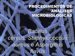 PROCEDIMENTOS DE
        ANÁLISES
 MICROBIOLOGICAS
 