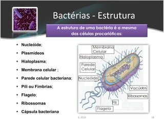 Bactérias - Estrutura
                      A estrutura de uma bactéria é a mesma
                              das células procarióticas:

 Nucleóide;

 Plasmídeos

 Hialoplasma;

 Membrana celular ;

 Parede celular bacteriana;

 Pili ou Fímbrias;

 Flagelo;

 Ribossomas

 Cápsula bacteriana
                               IL 2010                        18
 
