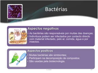 Bactérias


Aspectos negativos
• As bactérias são responsáveis por muitas das doenças;
• Indivíduos podem ser infectados por contacto directo
  com material infectado, pelo ar, comida, água e por
  insectos.


Aspectos positivos
• Muitas bactérias são simbiontes;
• Participam na decomposição de compostos;
• São usadas pela biotecnologia.


               IL 2010                              19
 