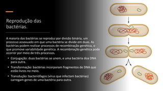 BACTÉRIAS, FUNGOS E VÍRUS.pptx