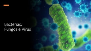 Bactérias,
Fungos e Vírus
 