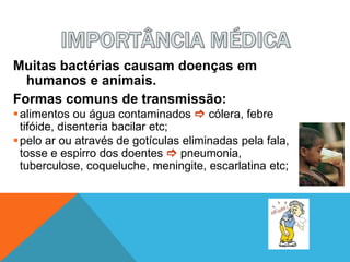 Muitas bactérias causam doenças em
humanos e animais.
Formas comuns de transmissão:
alimentos ou água contaminados  cólera, febre
tifóide, disenteria bacilar etc;
pelo ar ou através de gotículas eliminadas pela fala,
tosse e espirro dos doentes  pneumonia,
tuberculose, coqueluche, meningite, escarlatina etc;
 