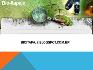 BIOITAPAJE.BLOGSPOT.COM.BR
 