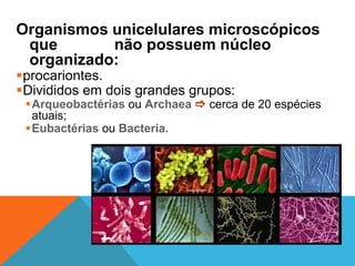 Organismos unicelulares microscópicos
que não possuem núcleo
organizado:
procariontes.
Divididos em dois grandes grupos:
Arqueobactérias ou Archaea  cerca de 20 espécies
atuais;
Eubactérias ou Bacteria.
 