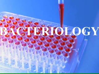 BACTERIOLOGY
 