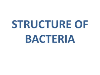 STRUCTURE OF
BACTERIA
 