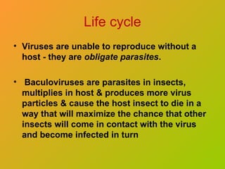 Life cycle
• Viruses are unable to reproduce without a
host - they are obligate parasites.
• Baculoviruses are parasites in insects,
multiplies in host & produces more virus
particles & cause the host insect to die in a
way that will maximize the chance that other
insects will come in contact with the virus
and become infected in turn
 