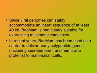 • Since viral genomes can stably
accommodate an insert sequence of at least
40 kb, BacMam is particularly suitable for
expressing multimeric complexes.
• In recent years, BacMam has been used as a
carrier to deliver many polypeptide genes
(including secreted and transmembrane
proteins) to mammalian cells.
 