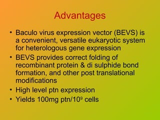Advantages
• Baculo virus expression vector (BEVS) is
a convenient, versatile eukaryotic system
for heterologous gene expression
• BEVS provides correct folding of
recombinant protein & di sulphide bond
formation, and other post translational
modifications
• High level ptn expression
• Yields 100mg ptn/109
cells
 