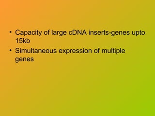 • Capacity of large cDNA inserts-genes upto
15kb
• Simultaneous expression of multiple
genes
 