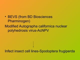 • BEVS (from BD Biosciences
Pharminogen)
Modified Autographa californica nuclear
polyhedrosis virus-AcNPV
Infect insect cell lines-Spodoptera frugiperda
 