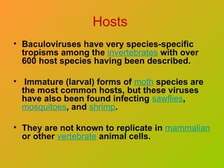 Hosts
• Baculoviruses have very species-specific
tropisms among the invertebrates with over
600 host species having been described.
• Immature (larval) forms of moth species are
the most common hosts, but these viruses
have also been found infecting sawflies,
mosquitoes, and shrimp.
• They are not known to replicate in mammalian
or other vertebrate animal cells.
 