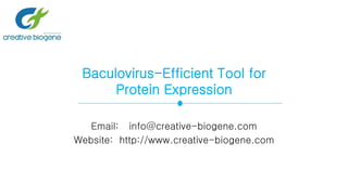Baculovirus-Efficient Tool for
Protein Expression
Email: info@creative-biogene.com
Website: http://www.creative-biogene.com
 