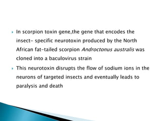 In scorpion toxin gene,the gene that encodes the
insect- specific neurotoxin produced by the North
African fat-tailed scorpion Androctonus australis was
cloned into a baculovirus strain
 This neurotoxin disrupts the flow of sodium ions in the
neurons of targeted insects and eventually leads to
paralysis and death
 