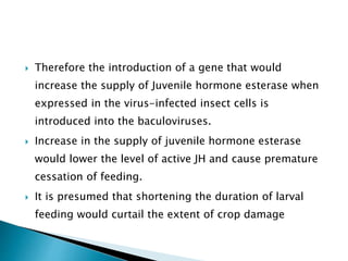  Therefore the introduction of a gene that would
increase the supply of Juvenile hormone esterase when
expressed in the virus-infected insect cells is
introduced into the baculoviruses.
 Increase in the supply of juvenile hormone esterase
would lower the level of active JH and cause premature
cessation of feeding.
 It is presumed that shortening the duration of larval
feeding would curtail the extent of crop damage
 