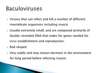  Viruses that can infect and kill a number of different
invertebrate organisms including insects
 Usually extremely small, and are composed primarily of
double-stranded DNA that codes for genes needed for
virus establishment and reproduction.
 Rod shaped
 Very stable and may remain dormant in the environment
for long period before infecting insects
 