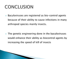  Baculoviruses are registered as bio-control agents
because of their ability to cause infections in many
arthropod species mainly insects.
 The genetic engineering done in the baculoviruses
would enhance their ability as biocontrol agents by
increasing the speed of kill of insects
 