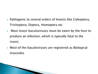  Pathogenic to several orders of Insects like Coleoptera,
Trichoptera, Diptera, Homoptera etc
 Most insect baculoviruses must be eaten by the host to
produce an infection, which is typically fatal to the
insect.
 Most of the baculoviruses are registered as Biological
Insectides
 