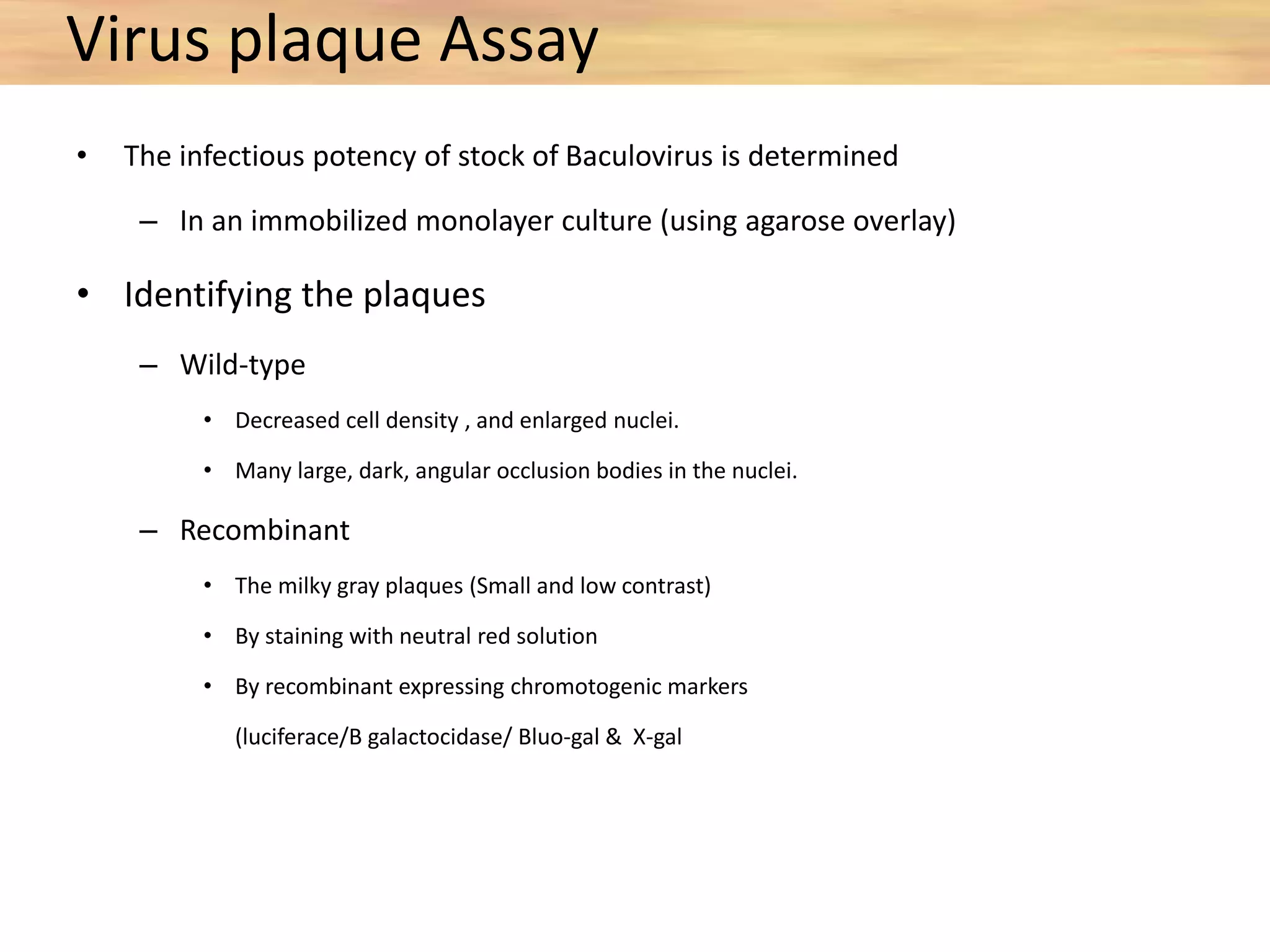 Virus plaque Assay
• The infectious potency of stock of Baculovirus is determined
– In an immobilized monolayer culture (using agarose overlay)
• Identifying the plaques
– Wild-type
• Decreased cell density , and enlarged nuclei.
• Many large, dark, angular occlusion bodies in the nuclei.
– Recombinant
• The milky gray plaques (Small and low contrast)
• By staining with neutral red solution
• By recombinant expressing chromotogenic markers
(luciferace/B galactocidase/ Bluo-gal & X-gal
 