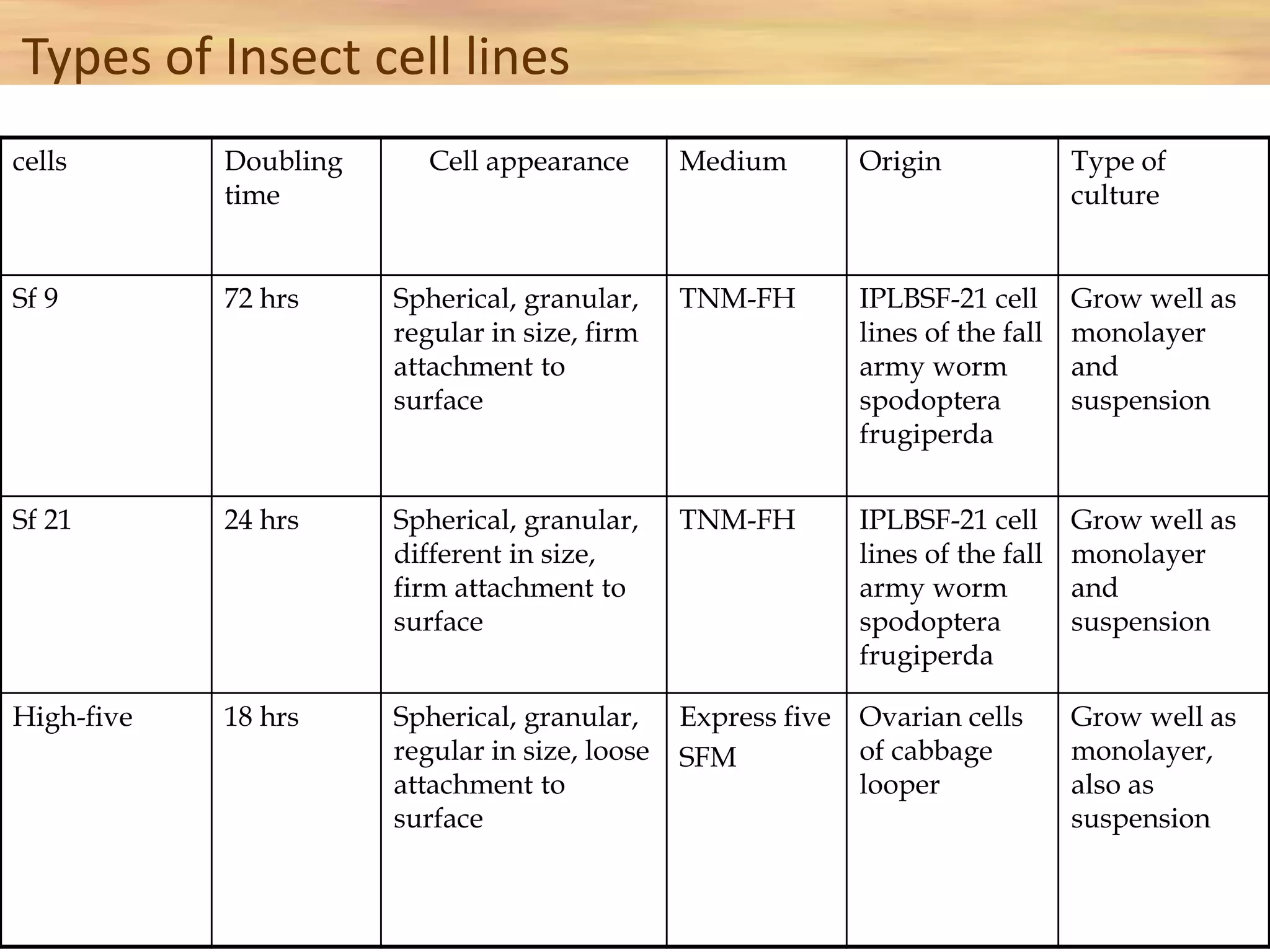 Types of Insect cell lines
cells Doubling
time
Cell appearance Medium Origin Type of
culture
Sf 9 72 hrs Spherical, granular,
regular in size, firm
attachment to
surface
TNM-FH IPLBSF-21 cell
lines of the fall
army worm
spodoptera
frugiperda
Grow well as
monolayer
and
suspension
Sf 21 24 hrs Spherical, granular,
different in size,
firm attachment to
surface
TNM-FH IPLBSF-21 cell
lines of the fall
army worm
spodoptera
frugiperda
Grow well as
monolayer
and
suspension
High-five 18 hrs Spherical, granular,
regular in size, loose
attachment to
surface
Express five
SFM
Ovarian cells
of cabbage
looper
Grow well as
monolayer,
also as
suspension
 