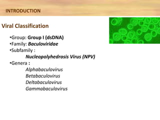Baculovirus expression vector system | PPTX