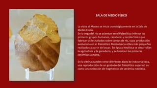 SALA DE MEDIO FÍSICO
La visita al Museo se inicia cronológicamente en la Sala de
Medio Físico.
En la vega del río se asientan en el Paleolítico Inferior los
primeros grupos humanos, cazadores y recolectores que
fabrican útiles tallados sobre cantos de río, cuya producción
evoluciona en el Paleolítico Medio hacia útiles más pequeños
realizados a partir de lascas. En época Neolítica se desarrollan
la agricultura y la ganadería, y se fabrican las primeras
cerámicas a mano.
En la vitrina pueden verse diferentes tipos de industria lítica,
una reproducción de un grabado del Paleolítico superior, así
como una selección de fragmentos de cerámica neolítica.
 