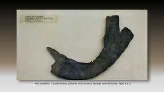 Hoz metálica. Cancho Roano. Zalamea de la Serena. Periodo orientalizante. Siglo V a. C.
 