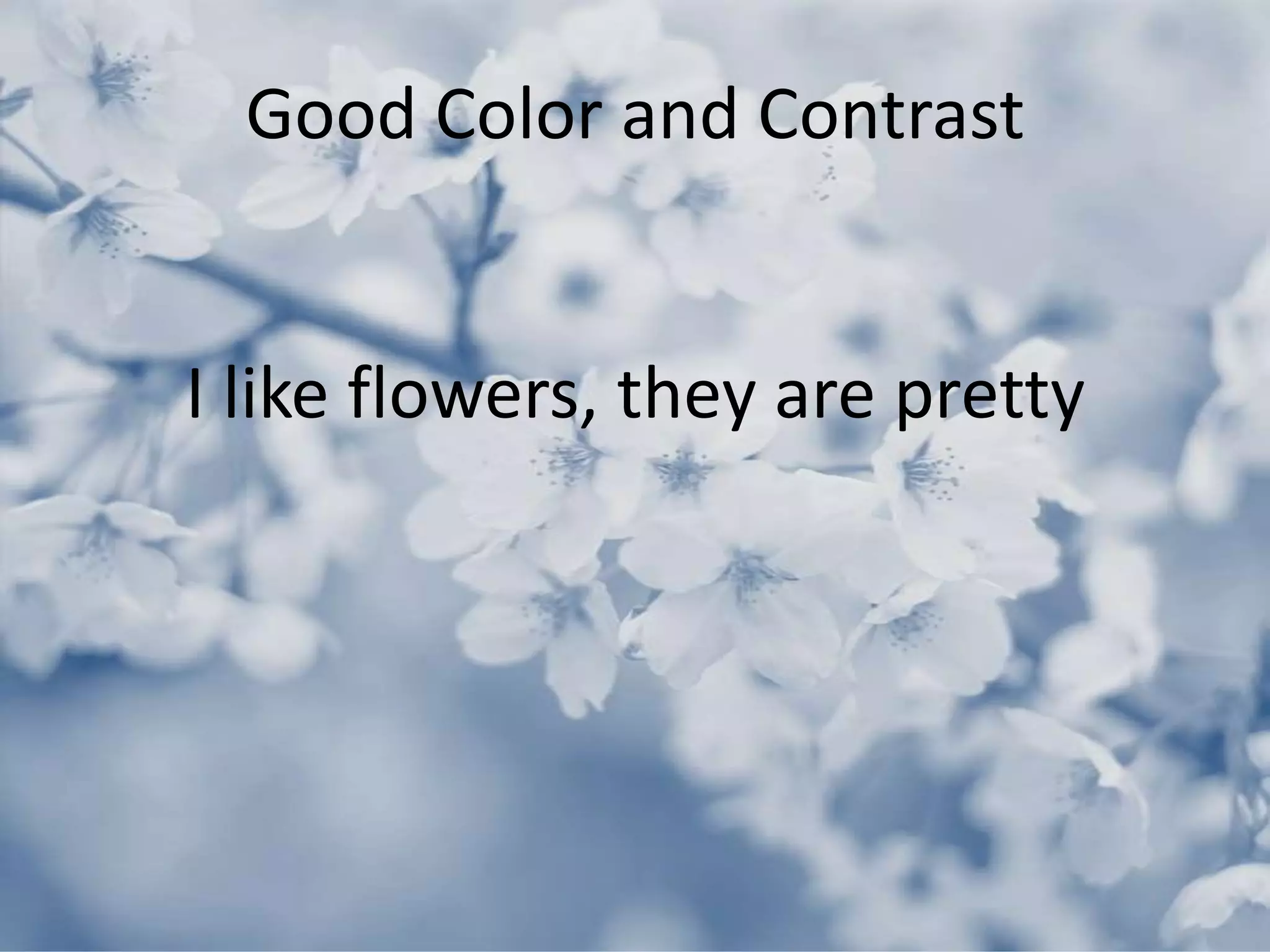Good Color and Contrast
I like flowers, they are pretty
 