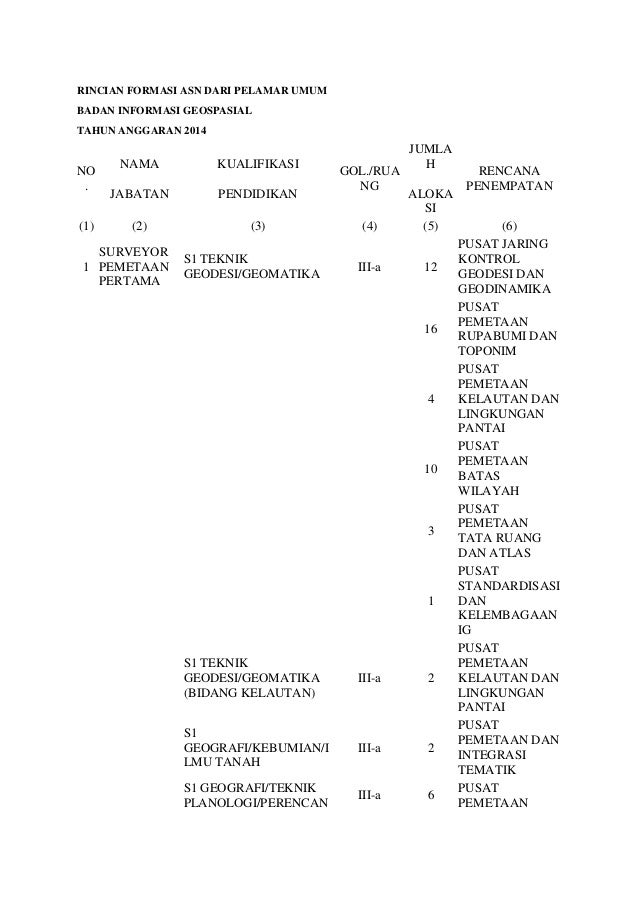 Badan informasi geospasial