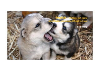 Implicit – Hidden, not easily
identifiable, extremely difficult to trace
Bad Biting

 
