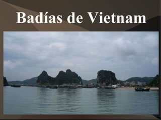 Badías de Vietnam 