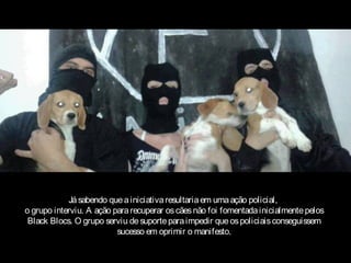 Já sabendo que a iniciativa resultaria em uma ação policial,
o grupo interviu. A ação para recuperar os cães não foi fomentada inicialmente pelos
Black Blocs. O grupo serviu de suporte para impedir que os policiais conseguissem
sucesso em oprimir o manifesto.

 