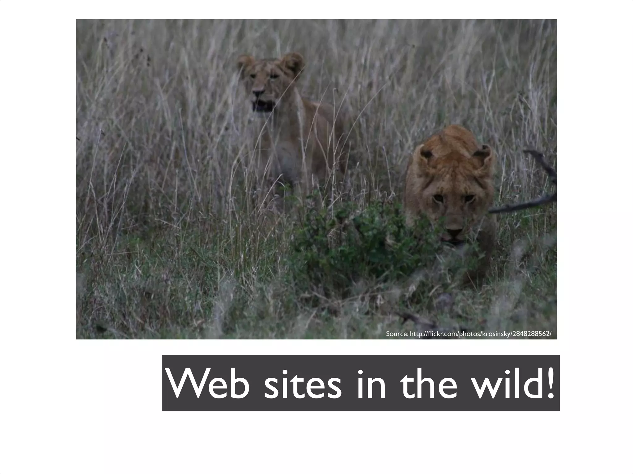 BADCamp 2008 DB Sync