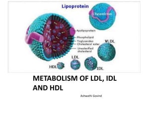 METABOLISM OF LDL, IDL
AND HDL
Ashwathi Govind
 