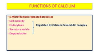 Calciphan Function Calcium metabolism and its clinical significance | PDF