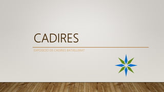 CADIRES
EXPOSICIÓ DE CADIRES BATXILLERAT
 