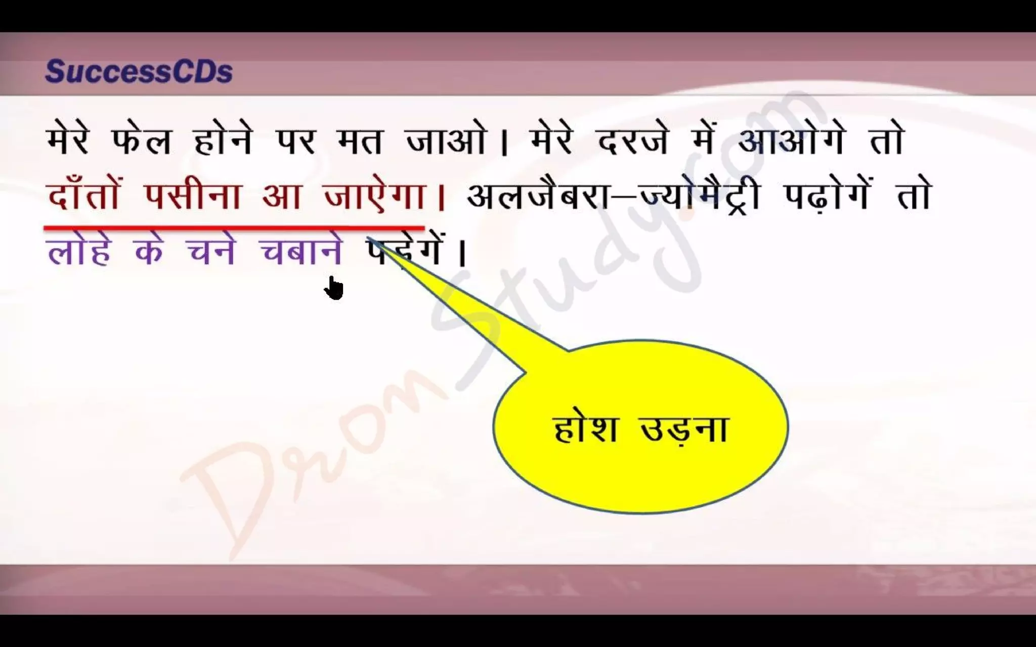 Bade Bhai Saheb Class 10 X Hindi CBSE Revision Notes