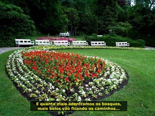 E quanto mais adentramos os bosques, mais belos vão ficando os caminhos... 