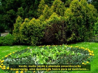 Verde, muito verde e absoluta consciência de preservação, uma questão de honra para os austríacos... 