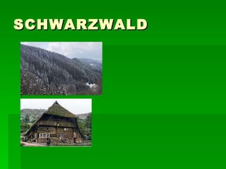 SCHWARZWALD 