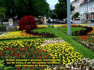 Baden, pequena e graciosa, localizada ao
sul de Viena, é um dos pontos turísticos
      mais visitados da Áustria...
 