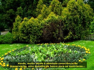 Verde, muito verde e absoluta consciência de
preservação, uma questão de honra para os austríacos...
 