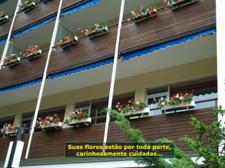 Suas flores estão por toda parte,
  carinhosamente cuidadas...
 