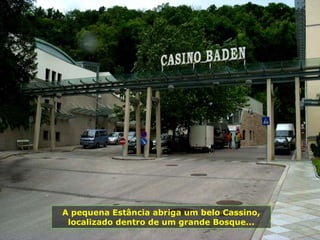 A pequena Estância abriga um belo Cassino,
 localizado dentro de um grande Bosque...
 