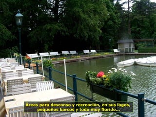 Áreas para descanso y recreación, en sus lagos,
pequeños barcos y todo muy florido...
 