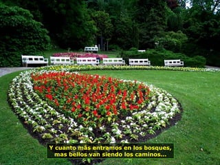 Y cuanto más entramos en los bosques,
mas bellos van siendo los caminos...
 